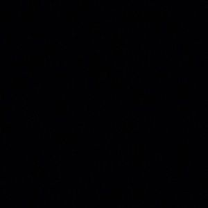 Meet your Posher, Yasmin